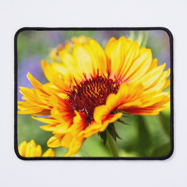 Item preview, Gaillardia designed and sold by Tanya C  Smith.
