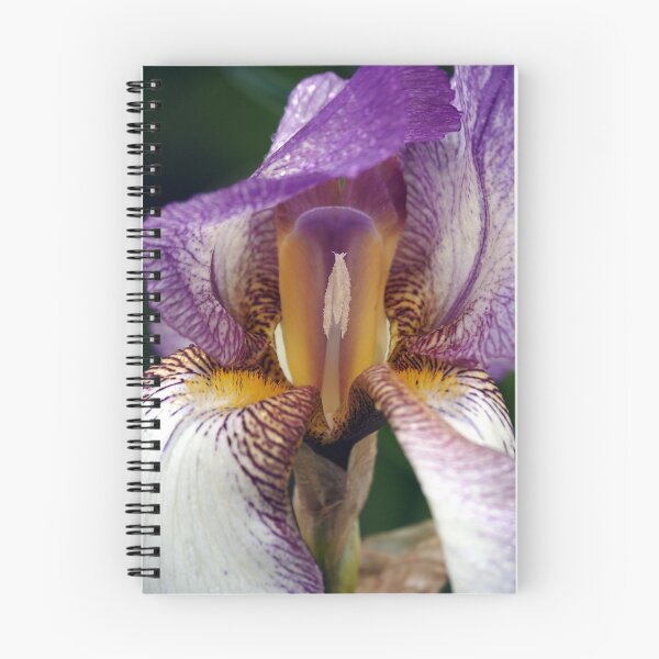 Item preview, Purple Iris designed and sold by HappySheep.