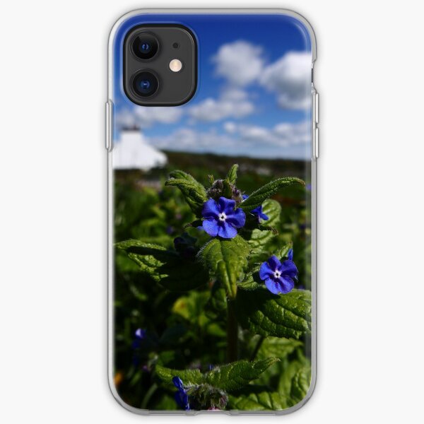 Green Alkanet (Pentaglottis sempervirens) iPhone Soft Case