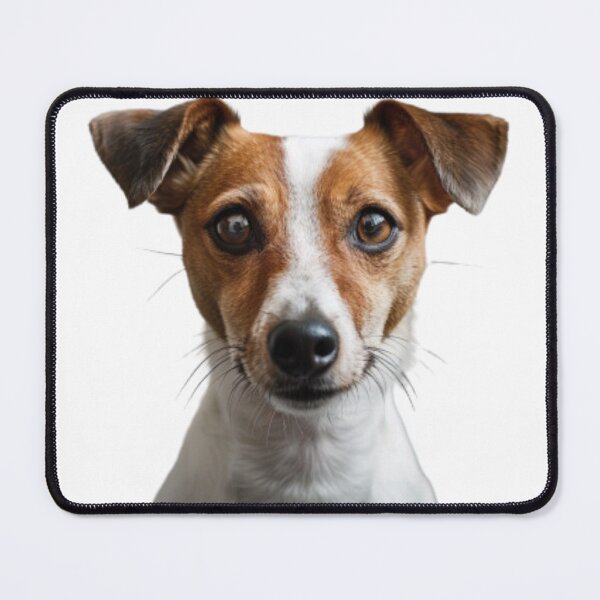 Item preview, Dog designed and sold by Wininter1729.