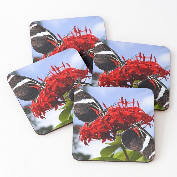 Item preview, Zebra longwing butterflies Heliconius charitonius pollinating red flowers designed and sold by Peter Etchells.