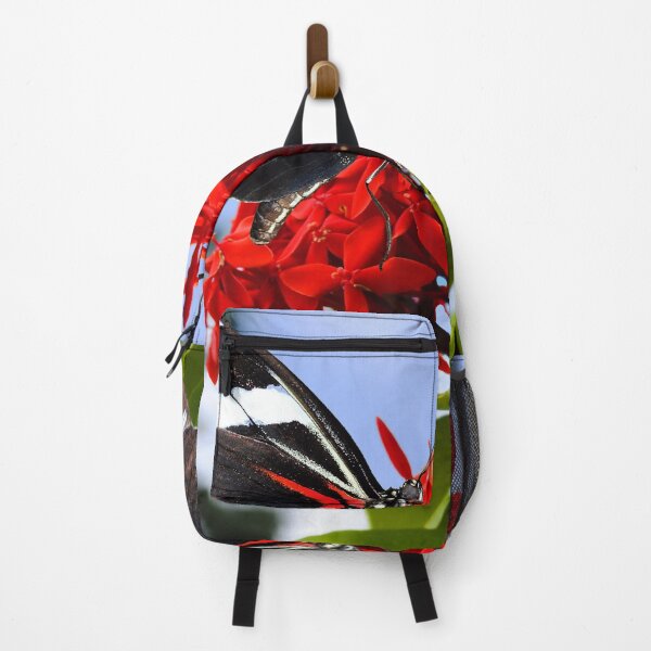 Item preview, Zebra longwing butterflies Heliconius charitonius pollinating red flowers designed and sold by Peter Etchells.