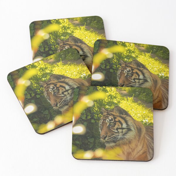 Item preview, Sumatran tiger designed and sold by Anyhnto.
