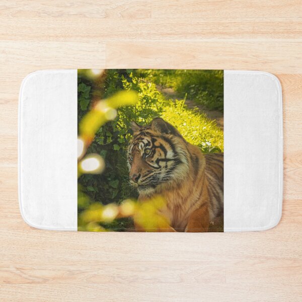 Item preview, Sumatran tiger designed and sold by Anyhnto.
