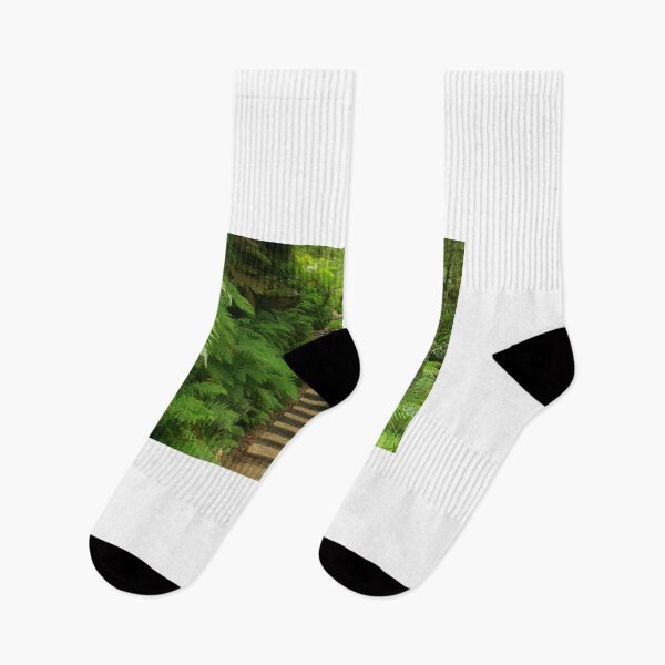 Item preview, Pathway of ferns designed and sold by Michael Matthews.