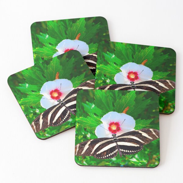 Item preview, Zebra longwing butterfly Heliconius charitonius pollinating a white flower designed and sold by Peter Etchells.