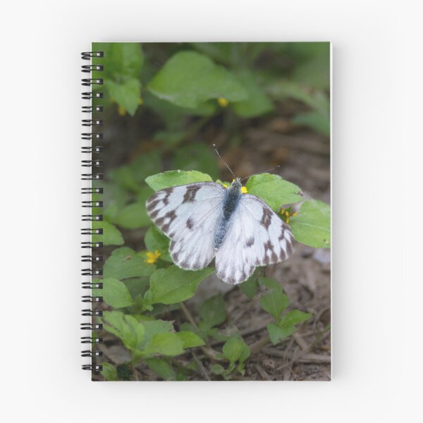 Item preview, Checkered White Sulphur Butterfly designed and sold by Debra Martz.