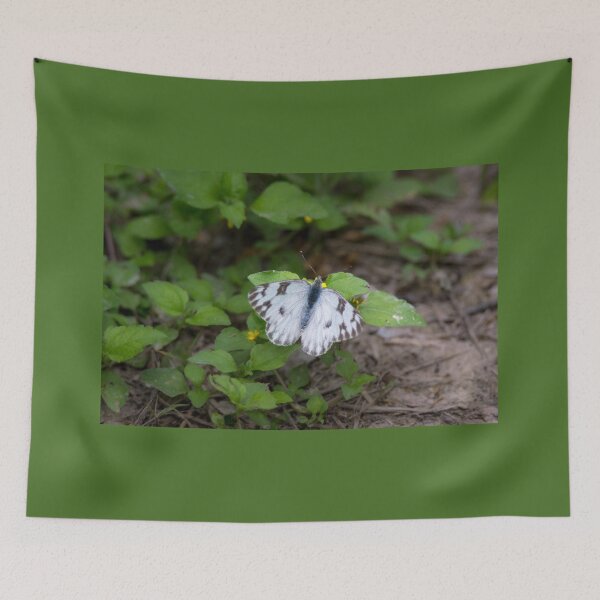 Item preview, Checkered White Sulphur Butterfly designed and sold by Debra Martz.