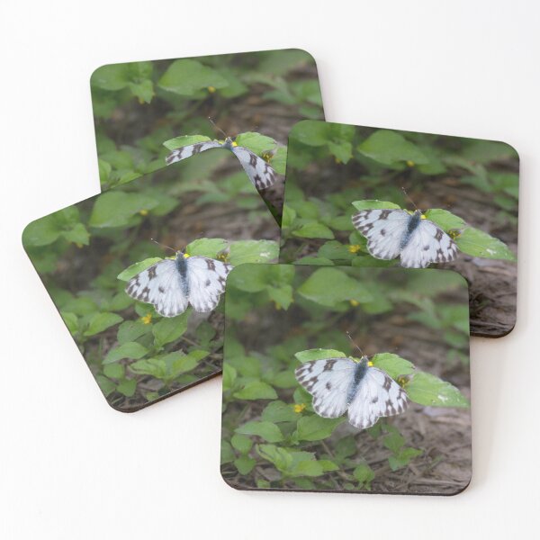 Item preview, Checkered White Sulphur Butterfly designed and sold by Debra Martz.