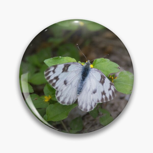 Item preview, Checkered White Sulphur Butterfly designed and sold by Debra Martz.