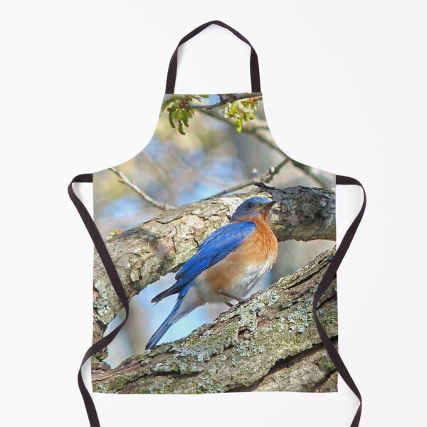 Item preview, Bluebird designed and sold by Frankie Cat Photography.