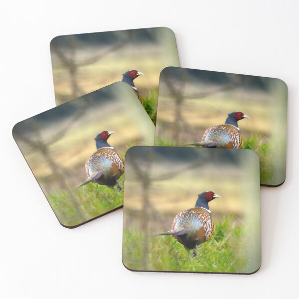 Item preview, Male Pheasant patrolling Burton Mere Wetlands designed and sold by StelleryART.