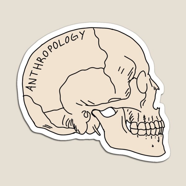 Item preview, Anthropology skull designed and sold by yourmissingsock.