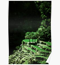 Three palmtrees Poster