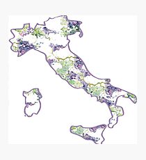 Italy country outline with grapes Photographic Print