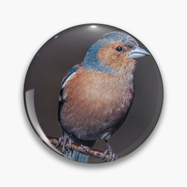 Item preview, Chaffinch designed and sold by Tom McPherson Photography.