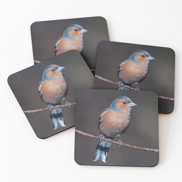 Item preview, Chaffinch designed and sold by Tom McPherson Photography.