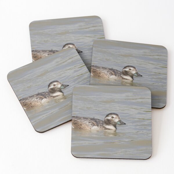 Item preview, Long Tailed Duck designed and sold by LaurenTucker.