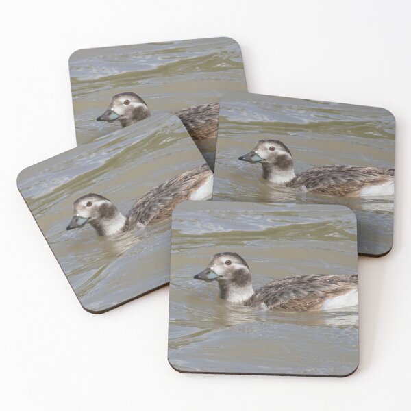 Item preview, Long Tailed Duck designed and sold by LaurenTucker.