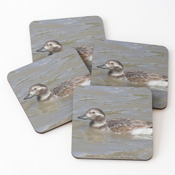Item preview, Long Tailed Duck designed and sold by LaurenTucker.