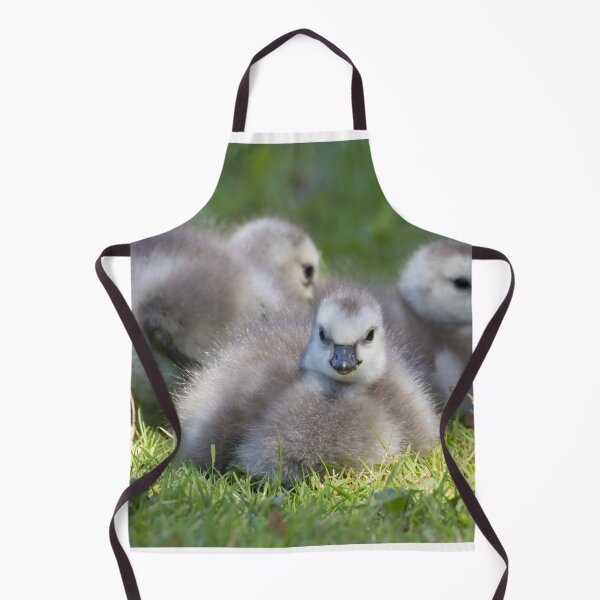 Item preview, Barnacle Goose designed and sold by LaurenTucker.