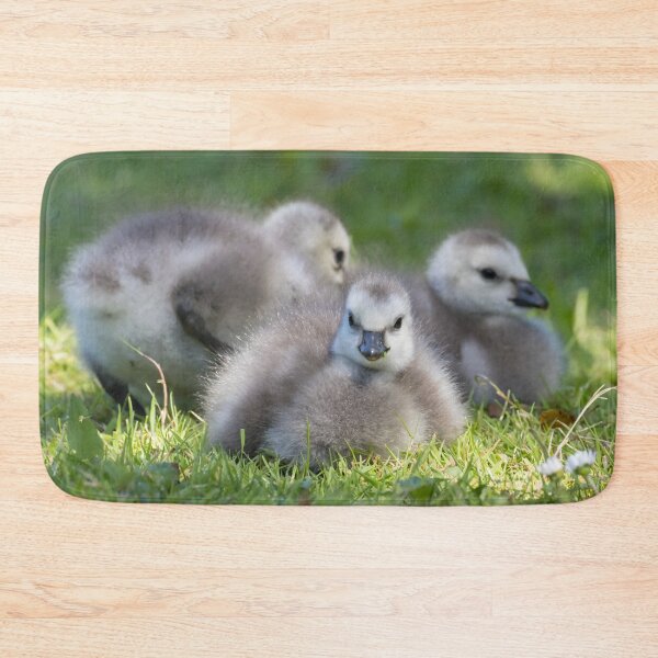 Item preview, Barnacle Goose designed and sold by LaurenTucker.