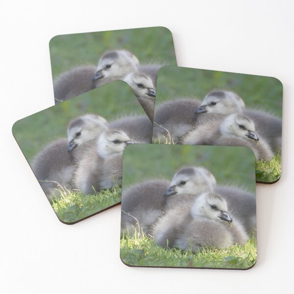 Item preview, Barnacle Goose designed and sold by LaurenTucker.