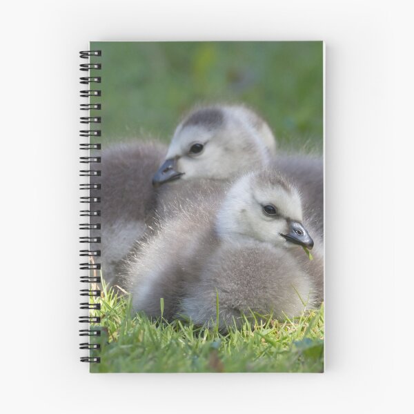 Item preview, Barnacle Goose designed and sold by LaurenTucker.