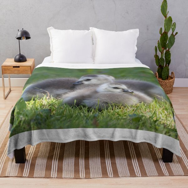Item preview, Barnacle Goose designed and sold by LaurenTucker.