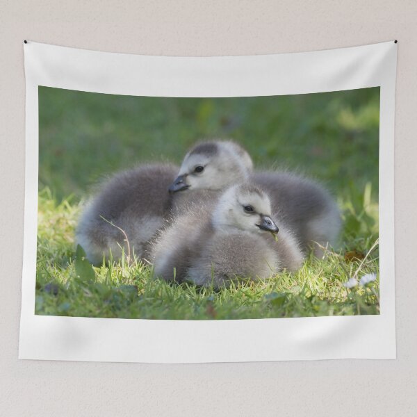 Item preview, Barnacle Goose designed and sold by LaurenTucker.