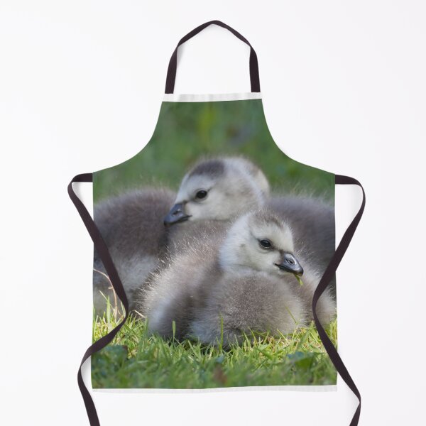 Item preview, Barnacle Goose designed and sold by LaurenTucker.
