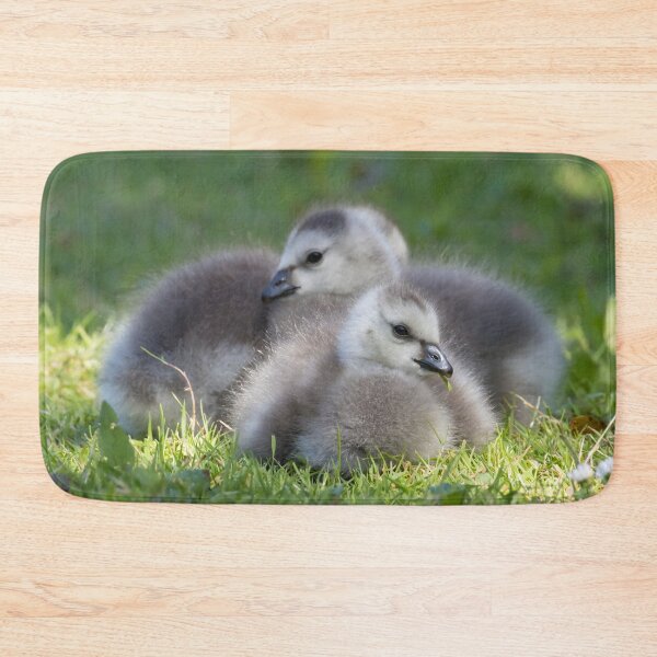 Item preview, Barnacle Goose designed and sold by LaurenTucker.