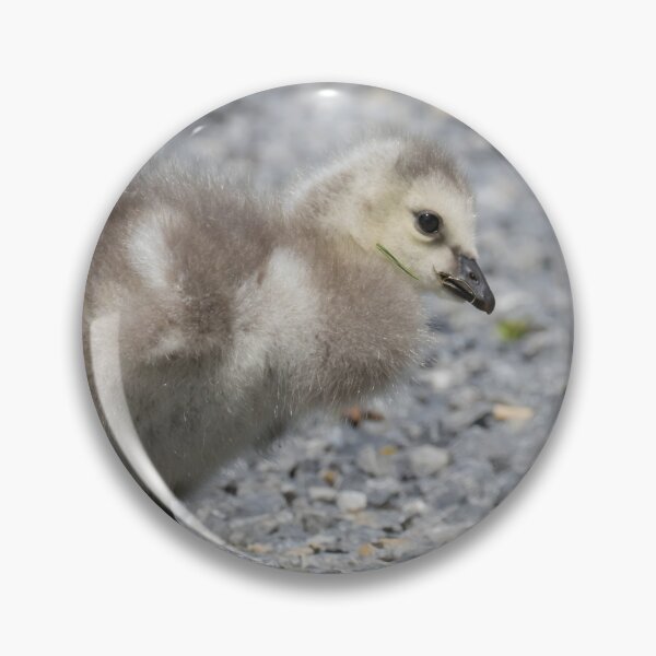 Item preview, Barnacle Goose designed and sold by LaurenTucker.
