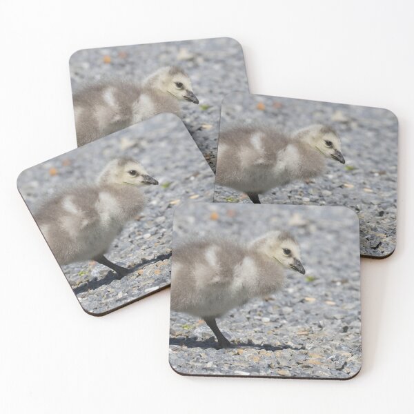 Item preview, Barnacle Goose designed and sold by LaurenTucker.
