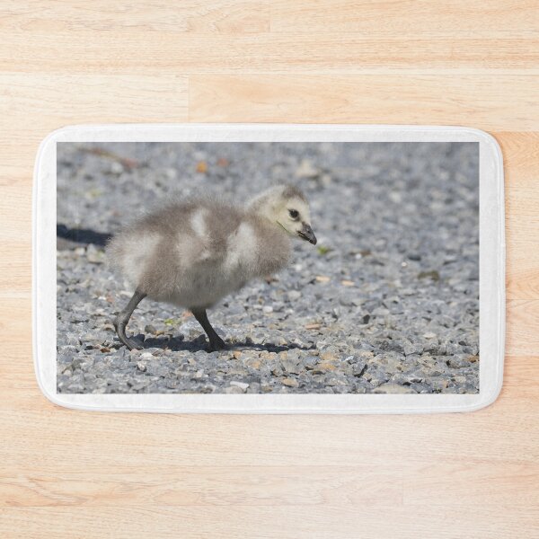 Item preview, Barnacle Goose designed and sold by LaurenTucker.