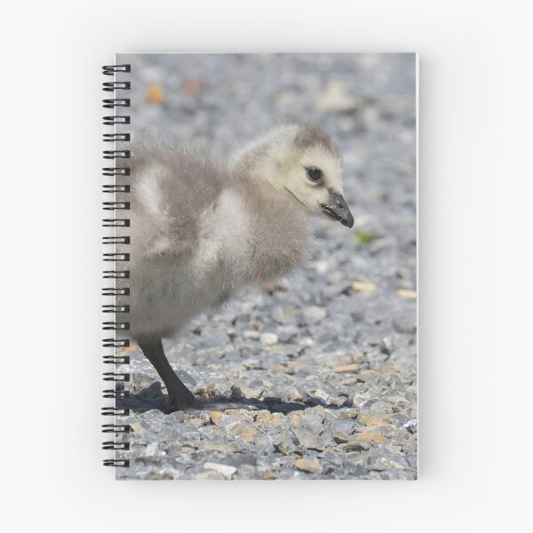 Item preview, Barnacle Goose designed and sold by LaurenTucker.