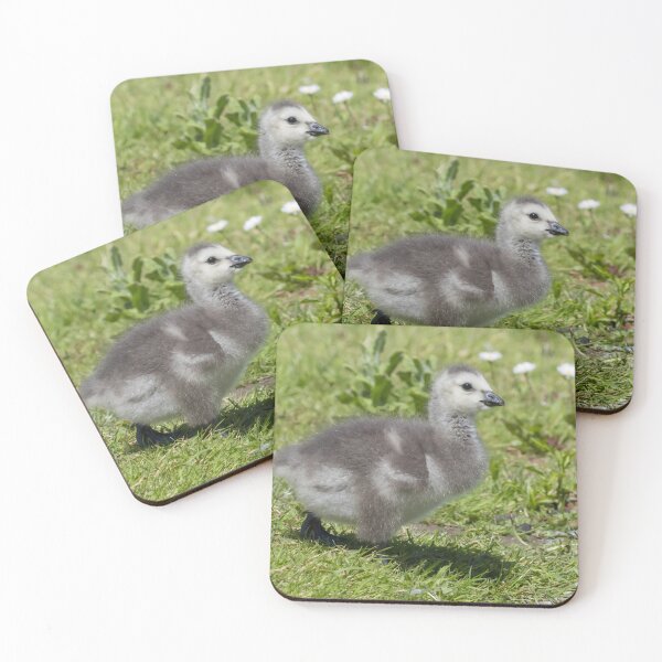 Item preview, Barnacle Goose designed and sold by LaurenTucker.