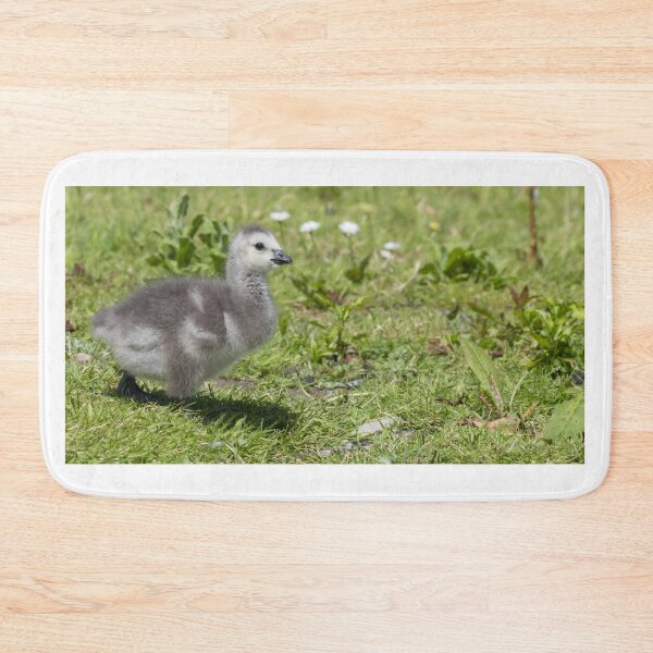 Item preview, Barnacle Goose designed and sold by LaurenTucker.