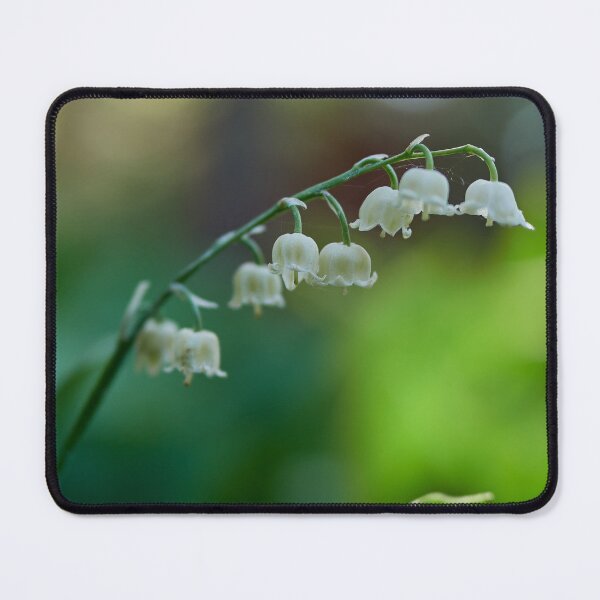Item preview, Morning dreams. Lily of the valley designed and sold by Jouko Lehto Photography.