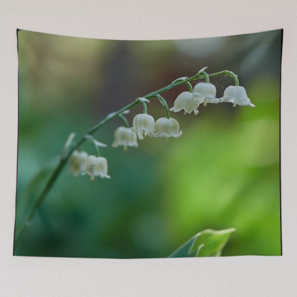 Item preview, Morning dreams. Lily of the valley designed and sold by Jouko Lehto Photography.