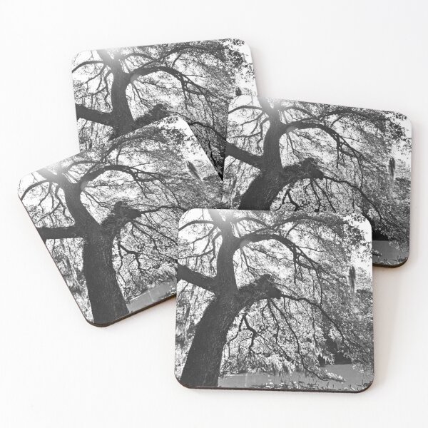 Item preview, Sunlit Tree Along The River In Black And White designed and sold by LisaWootenPhoto.