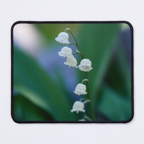 Item preview, Fragile. Lily of the valley designed and sold by Jouko Lehto Photography.