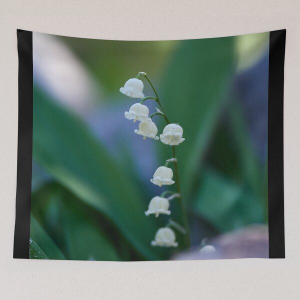 Item preview, Fragile. Lily of the valley designed and sold by Jouko Lehto Photography.