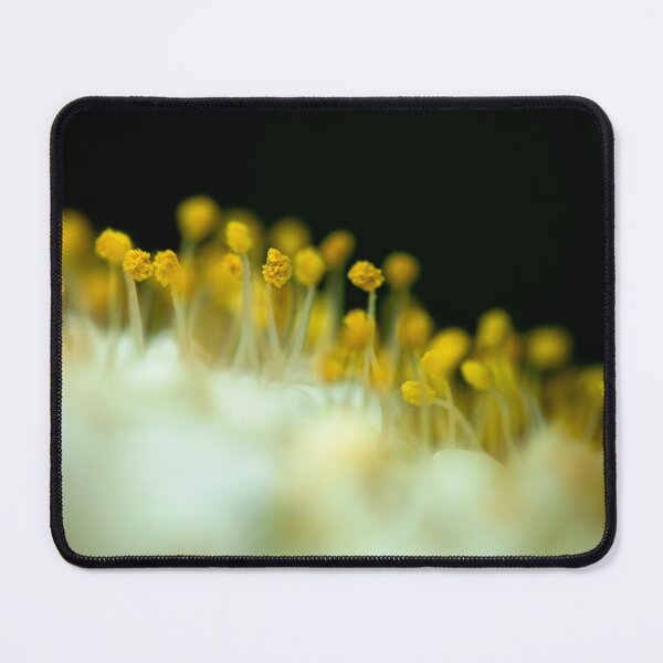 Item preview, Heads Up! (Prunus Blossom) designed and sold by ReFreshU Shop Designs.