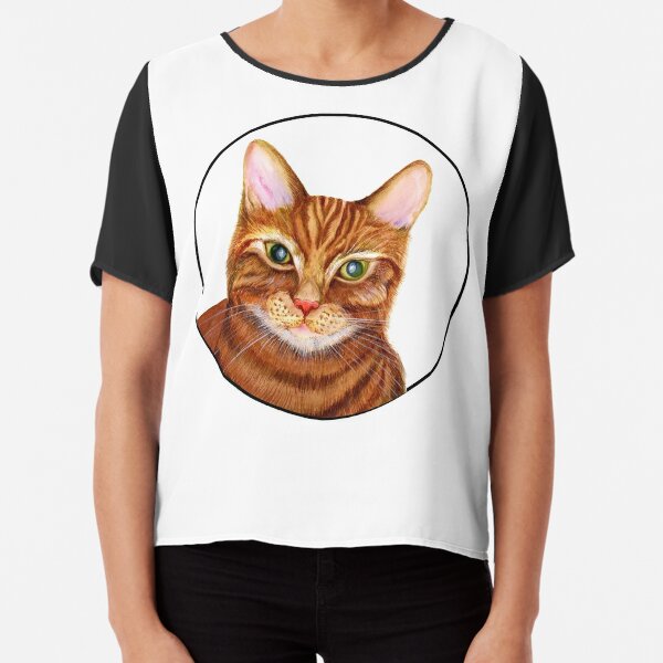 ginger cat merchandise