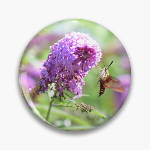Item preview, Hummingbird Moth designed and sold by errinaart.