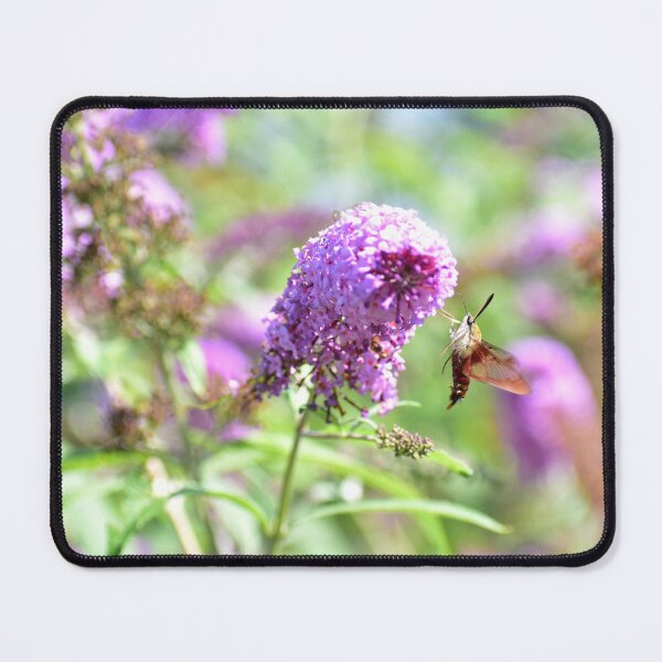 Item preview, Hummingbird Moth designed and sold by errinaart.