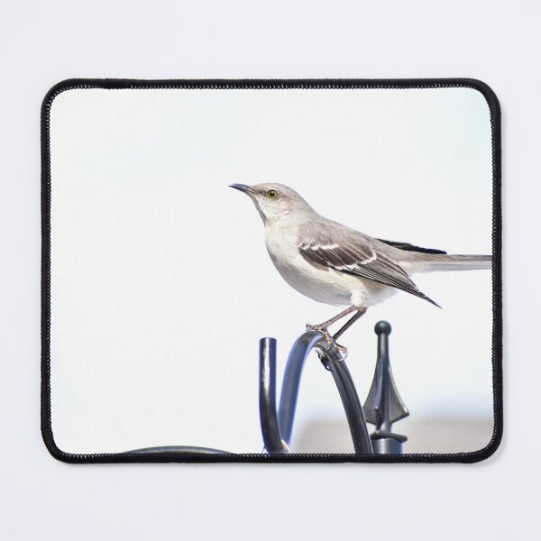 Item preview, Northern Mockingbird designed and sold by errinaart.