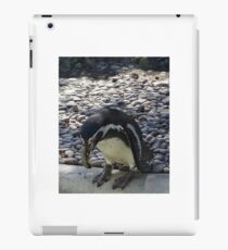 Penguin iPad Case/Skin