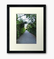 Park Framed Print